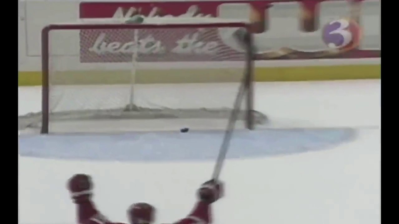 NHL Goalie Goals-Compilation [Apocalyptica-Grace]