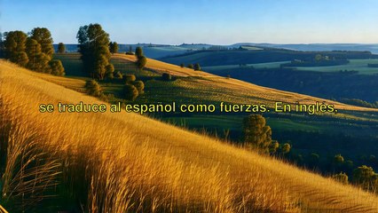 10000 palabras - forces