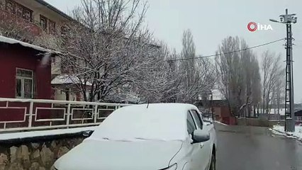 Başkale'de lapa lapa kar yağdı! Araçlar kara gömüldü!