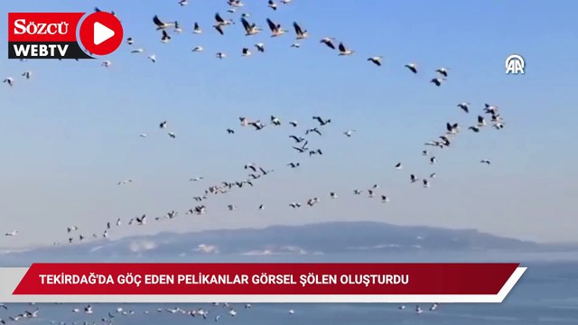 Tekirdağ'da göç eden pelikanlar görsel şölen oluşturdu