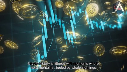 AEXSST Alert: When Whales "Buy the Dip," Retail Investors Are Stepping Into a Deadly Trap