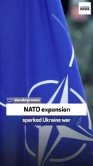 Former US official: NATO expansion sparked Ukraine war
