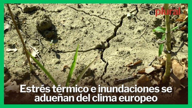 Alerta climática: Estrés térmico e inundaciones se adueñan del clima europeo