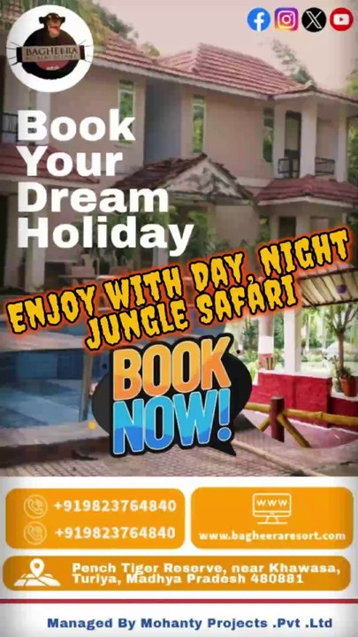 Explore the Wild! 🌿 Day & Night Jungle Safari Near Nagpur | Bagheera Retreat Resort
