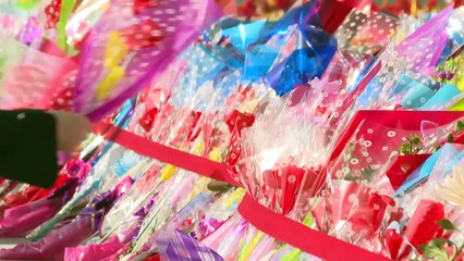 كوريا الشمالية تحتفي بذكرى مولد زعيمها المؤسس