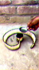 such interesting clip