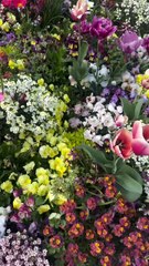 Η Σίσσυ Χρηστίδου με τους γιους της στη Disneyland 2