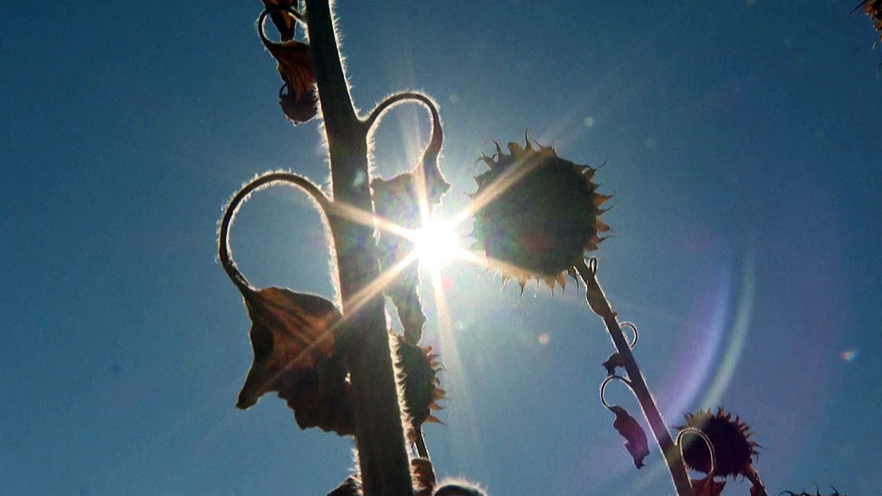 Europa in der Zange des Klimawandels