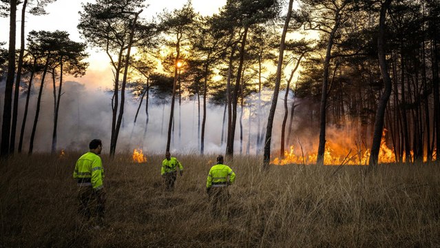 Copernicus-Bericht: So stark trifft der Klimawandel Europa