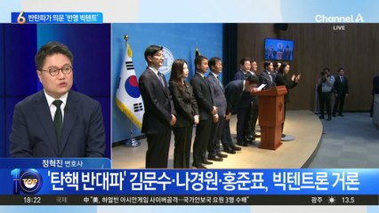 ‘탄핵 반대파’ 중심으로 ‘반명 빅텐트론’ 부상