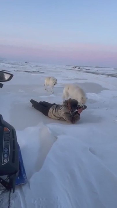 Este fotógrafo piensa que está documentando la naturaleza, pero la naturaleza lo observa a él
