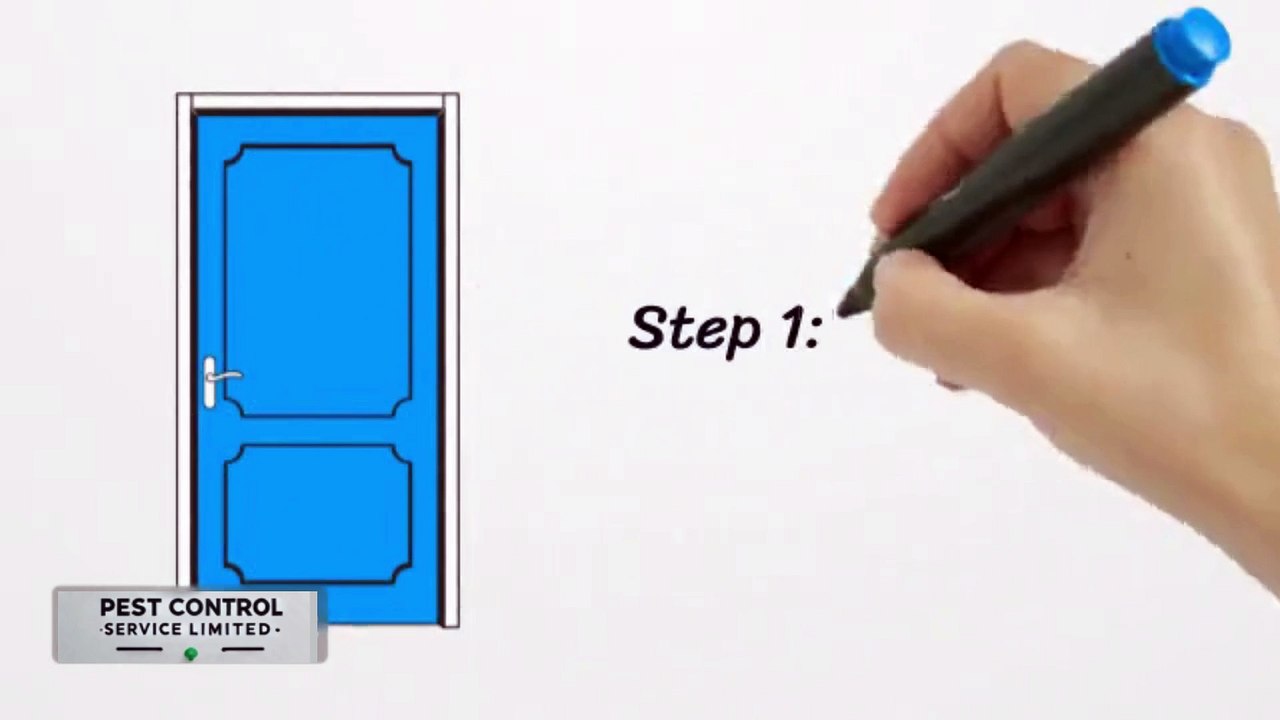 Pest-Proof Your Home in 1 Hour | Easy Step-by-Step Guide