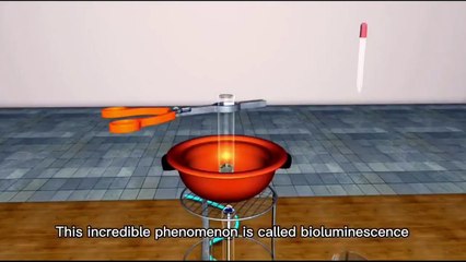 Why Do Some Frogs Glow in the Dark_#GlowingFrogs  #NatureWonders #scientificdiscoveries