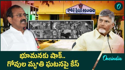 TTD Ghosala Controversy  - భూమనపై టీటీడీ కంప్లైట్.  అరెస్ట్ కు రంగం సిద్ధం |