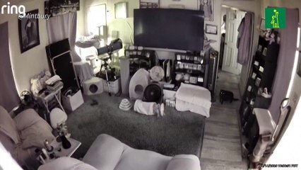 Fuerte sismo sacude el sur de California