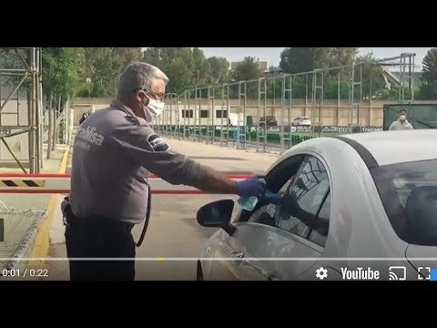 Los jugadores del Real BETIS vuelven al trabajo tras el parón por el coronavirus