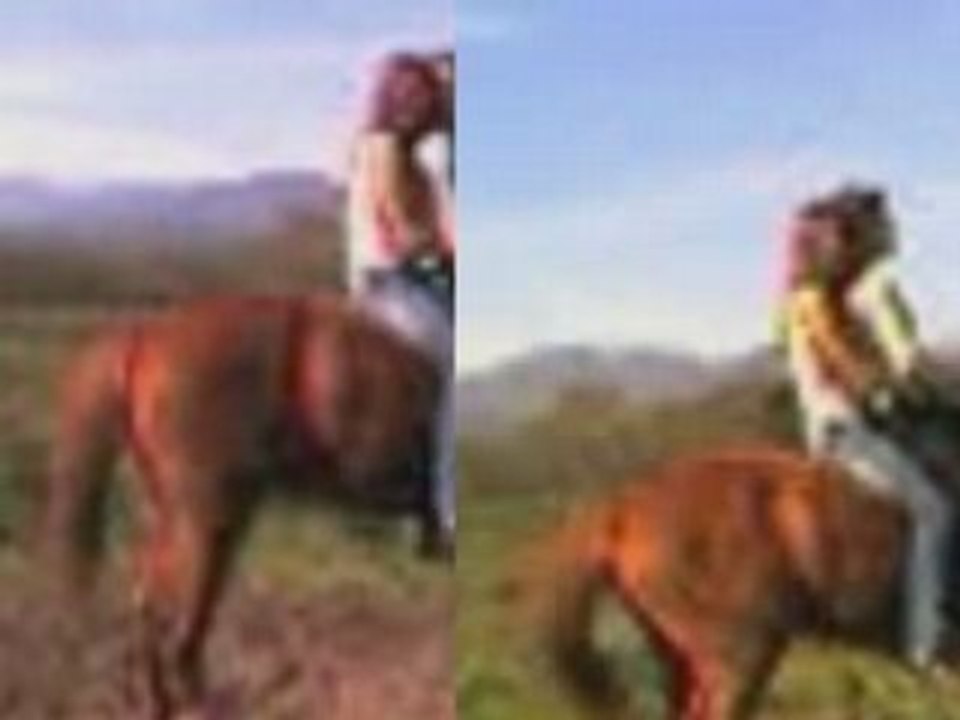 Photorecit (les chevaux au saut)