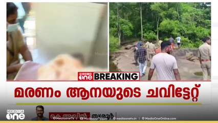 അതിരപ്പള്ളിയിൽ വനത്തിനുള്ളിൽ ആദിവാസികൾ കൊല്ലപ്പെട്ട സംഭവം; ആനയുടെ ആക്രമണമുണ്ടായത് എങ്ങനെ ?
