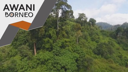 Pembangunan Tanjung Embang tak jejas hutan simpan
