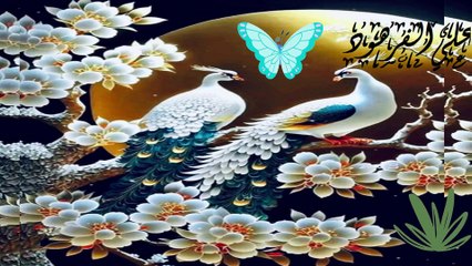 جمل تلاوة على سطح هذه الأرض