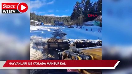Hayvanları ile yaylada mahsur kaldı: 3 gün sonra kurtarıldı