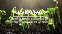 N°6 #VraiFaux : « Restaurer la nature, ça va coûter cher » ?