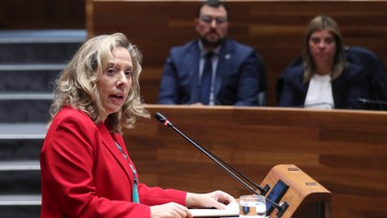 Dimite la consejera de Transición Ecológica de Asturias tras el accidente en la mina de Cerredo