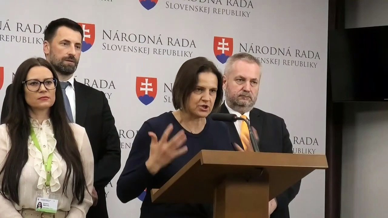ZÁZNAM: TK strany SaS - neakceptovateľné útoky koalície na mimovládky