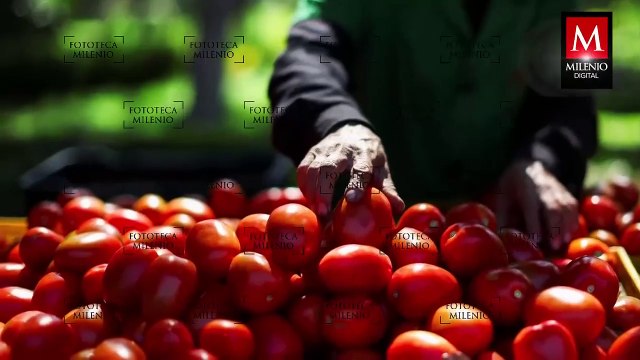 Integrantes de ‘La Barredora’ se adjudican el asesinato de 6 jovenes en Puebla. Jaime Núñez, 14 de abril 2025