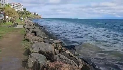 Sinop’ta skandal manzara