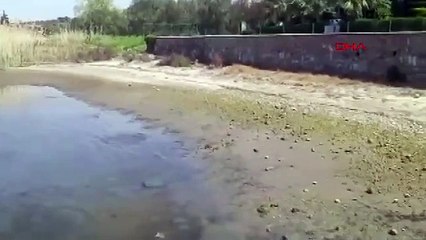 Balıkesir'de deniz çekildi! Görüntüler korkuttu