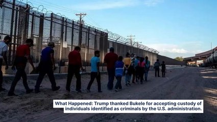 Trump 'Appreciates' Nayib Bukele For Accepting Deportees, El Salvador's President Refuses To Return Maryland Resident: 'I'm Not Going To Do It'
