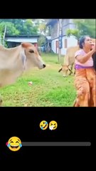 Wait wait 😜😁😂 #funny #comedy