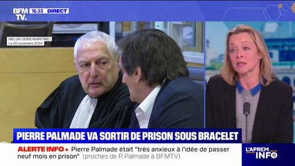Pierre Palmade: ce que l'on sait sur sa libération prochaine sous bracelet électronique