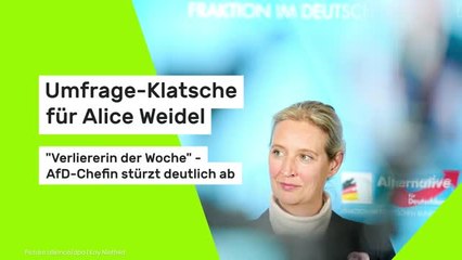 Umfrage-Klatsche für Alice Weidel: "Verliererin der Woche" - AfD-Chefin stürzt deutlich ab