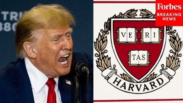 Democratic Senator Reacts To Harvard Rejecting Trump's 'Bullying' As $2 Billion In Funding Frozen