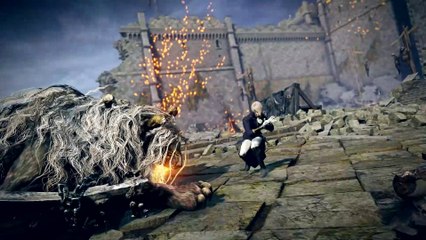 Elden Ring Nightreign - Duchess