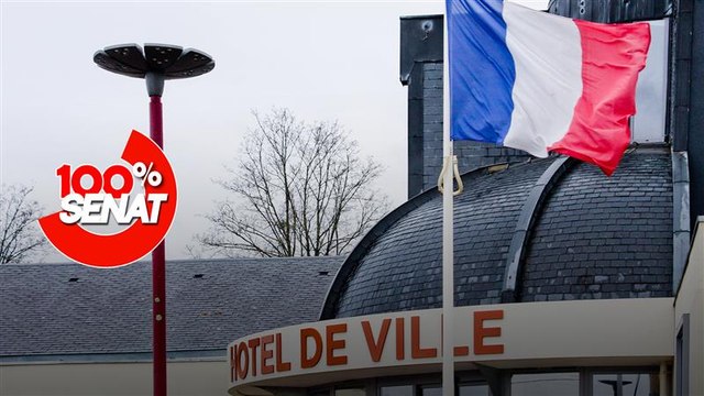 100% Sénat - Problèmes assurantiels des collectivités : audition de maires