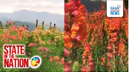 State of the Nation: (Part 2) Blooming Atok, Benguet; Atbp.