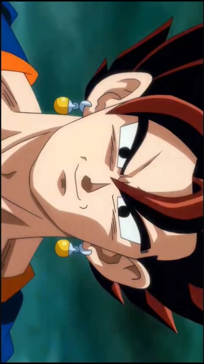 Vegeto edit