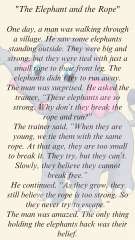 Tips for Starting Mindfulness ELEPHANT