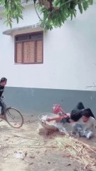You Won’t Believe Their Reactions! Epic Funny Pranks 2025