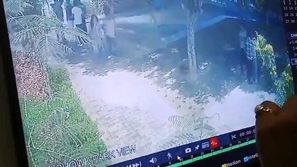 Cámara capta momento en que rayo impacta sobre cinco adolescentes