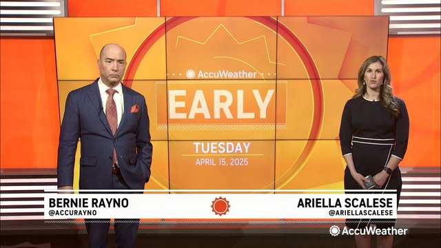 Michigan forests destroyed by devastating ice storm