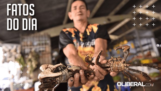 Fim do defeso, preço alto: caranguejo segue escasso e caro em Belém