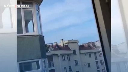 Evin balkonunda sürekli martıları dinleyen kedi, ötmeye başladı