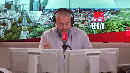 Audrey Dussutour, biologiste : "Les champignons sont plus proches des animaux que des plantes"