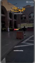 Phir Tamannay-e-Ziyarat Ne Kiya Dil Bechain | پھر تمناۓ زیارت نے کیا دل  بےچین Hashtags:#PhirMadinaYaadAya #ZiyaratEMadina #MadinaWaliDua #TamannaEMadina #IslamicShorts #MadinaLover #مدینہ #زیارت#زیارت_مدینہ #مدینہ_والے #مدینہ_کا_عاشق #اشک_زیارت