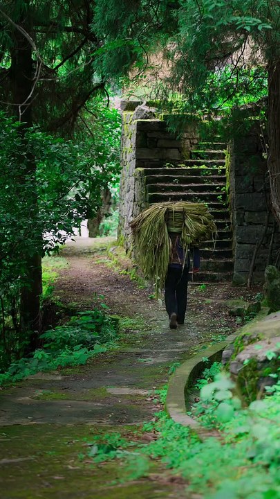 Chinese cloth made of Chinese grass is as light as a cicada's wing and as soft as silk. It is known as the living fossil among textiles.