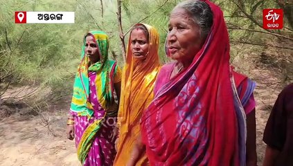 ଜଙ୍ଗଲ ସୃଷ୍ଟିରେ ବେଙ୍ଗଲତା : ସମୁଦ୍ର ଆଁରୁ ଗାଁକୁ କରୁଛନ୍ତି ରକ୍ଷା, ୨୫ ବର୍ଷ ଧରି ଲଗାଉଛନ୍ତି ଗଛ